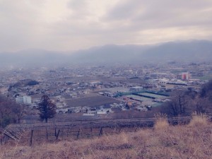IMG_5868