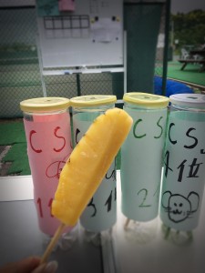 IMG_3402_20160606-112428